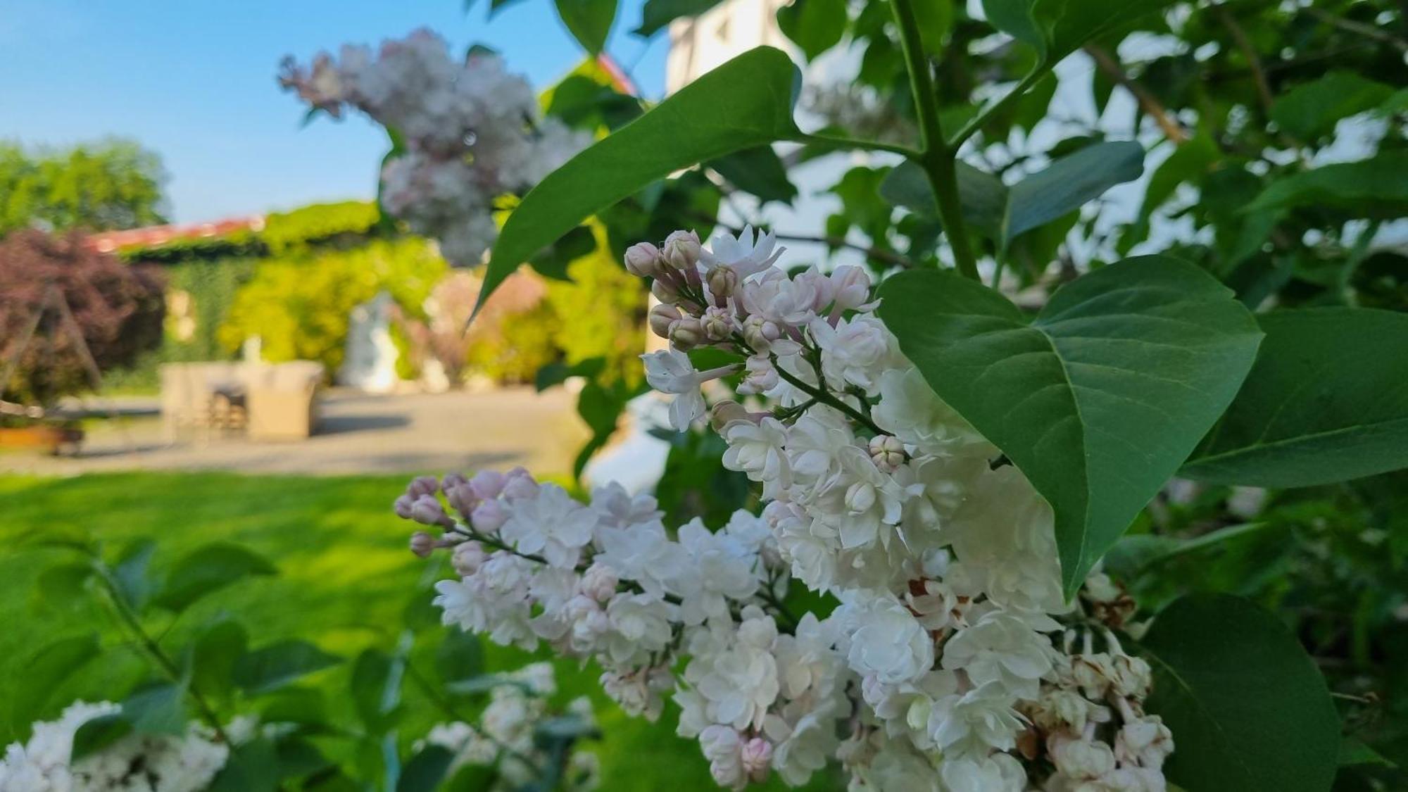 Folwark Leszczynowka Villa Srebrna Góra Kültér fotó