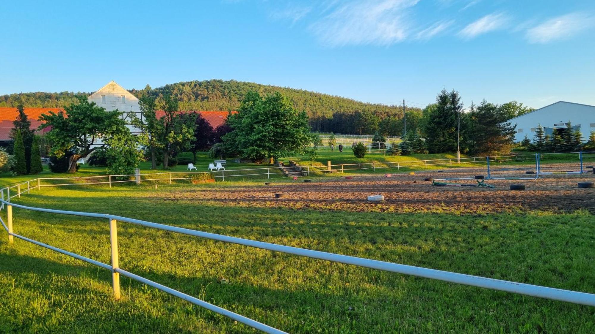 Folwark Leszczynowka Villa Srebrna Góra Kültér fotó