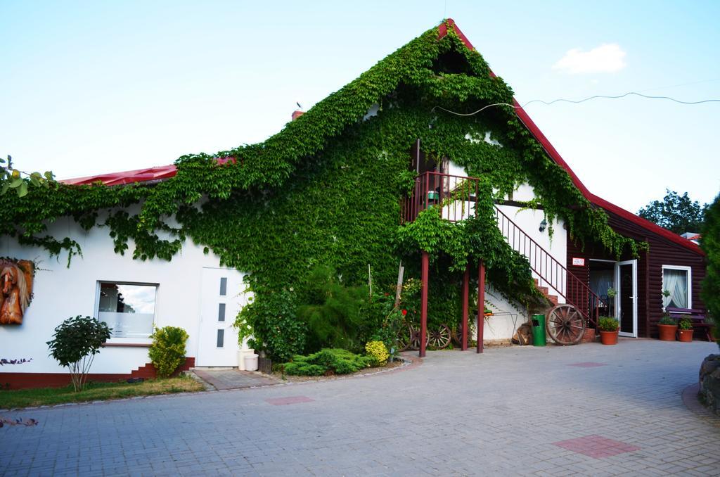 Folwark Leszczynowka Villa Srebrna Góra Kültér fotó