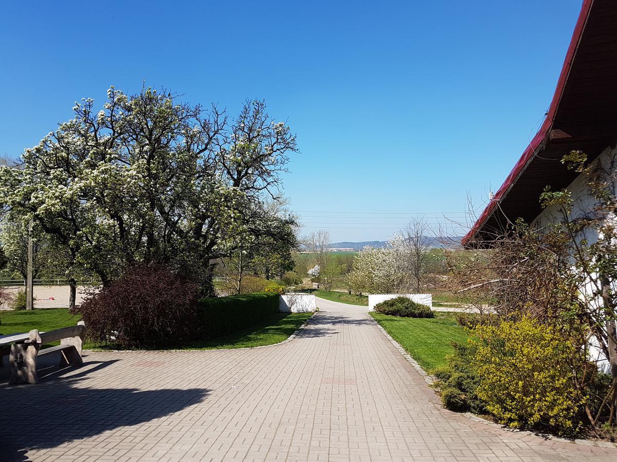 Folwark Leszczynowka Villa Srebrna Góra Kültér fotó