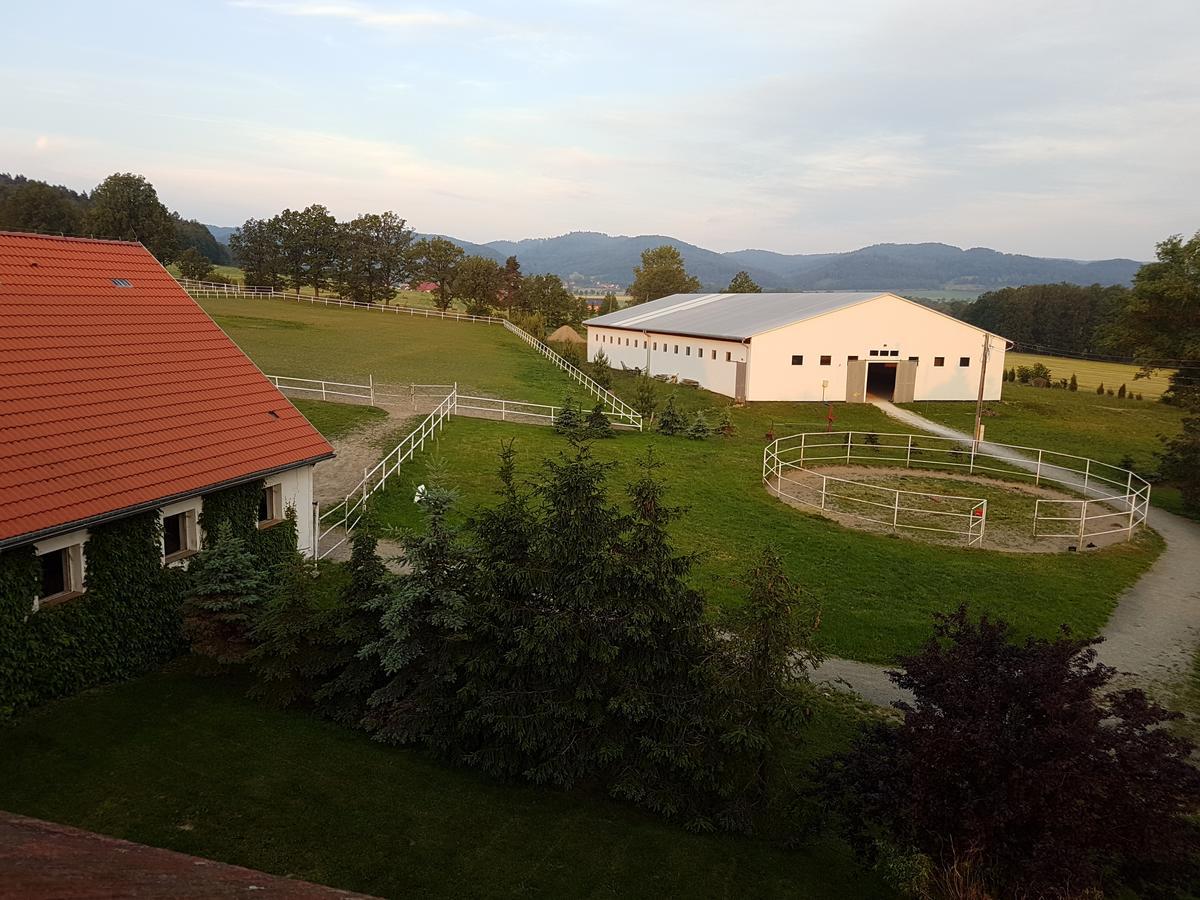 Folwark Leszczynowka Villa Srebrna Góra Kültér fotó