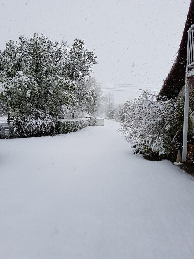Folwark Leszczynowka Villa Srebrna Góra Kültér fotó
